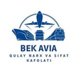 Логотип BEK AVIA