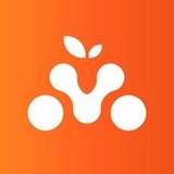 Логотип Mandarin Tour